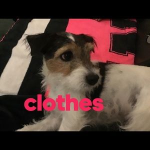 Clothes
